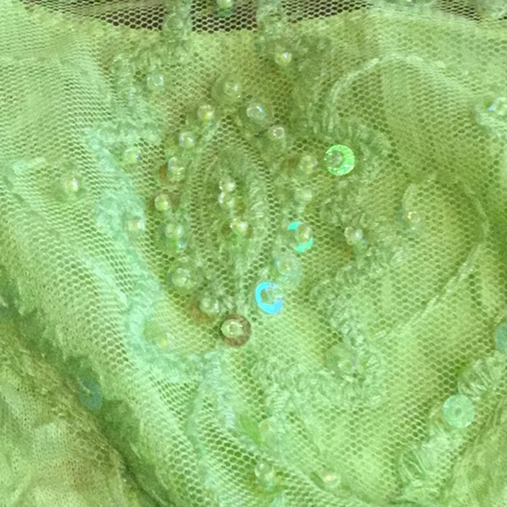 Sexy Lace, Lime and Beads Camisole Top - Junior  L, NWT - Picture 5 of 11